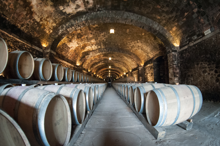 cantine aperte alla tenuta il borro