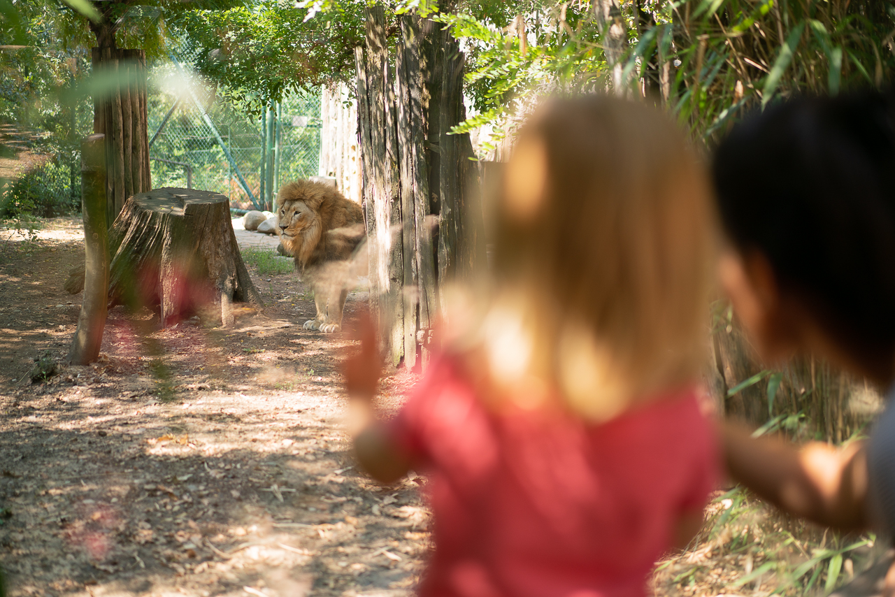 Protetto: Zoo di Pistoia