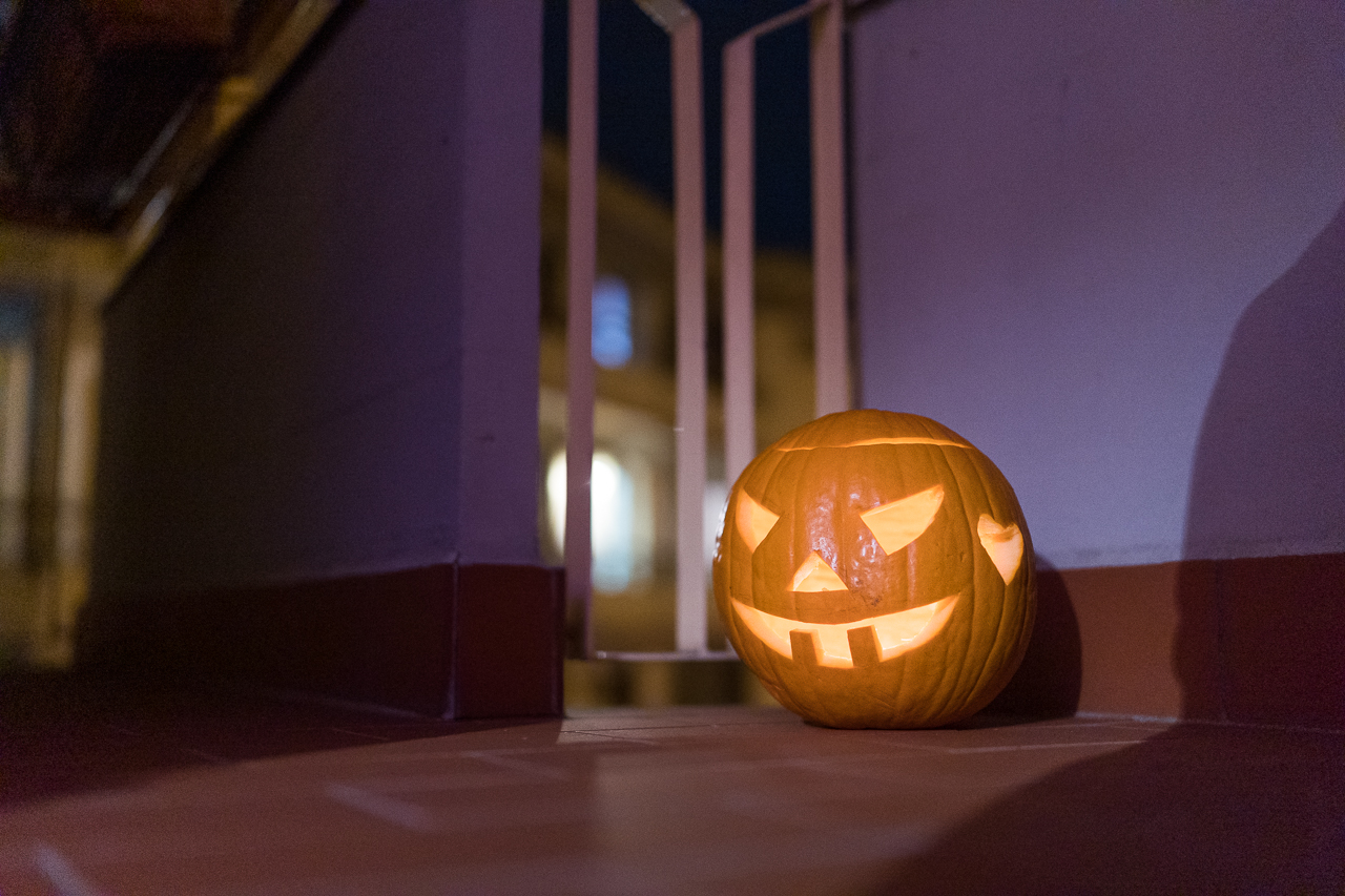 Protetto: Giardini e zucca di halloween